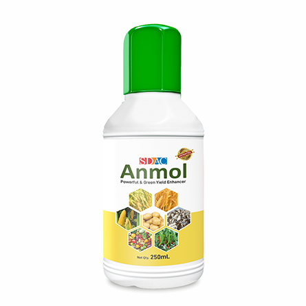 
																																																																																				Anmol 250 ml