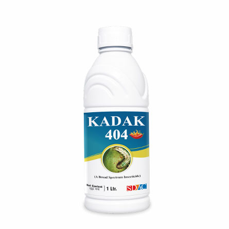 Kadak 404