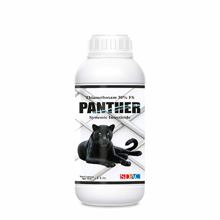Panther