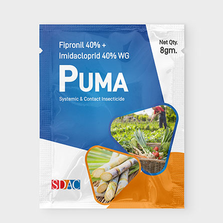 POUCH  PUMA